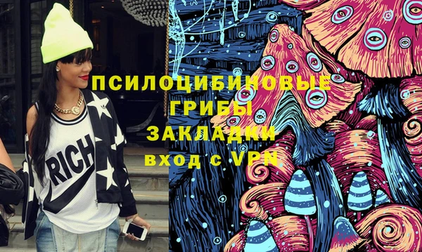 дурь Елизово