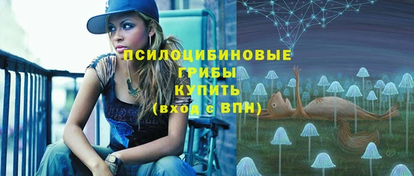 дурь Елизово