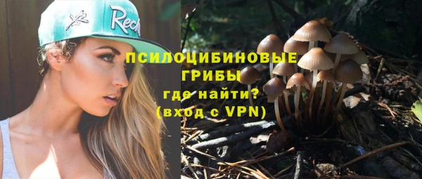 круглые Лагань