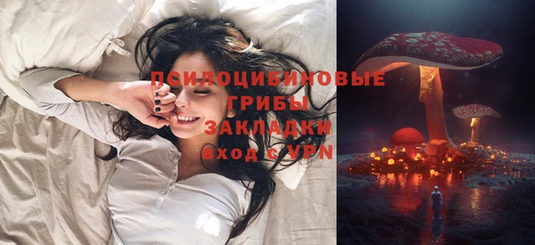 таблы Ельня