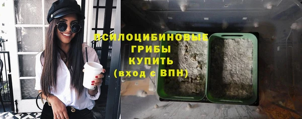 таблы Ельня