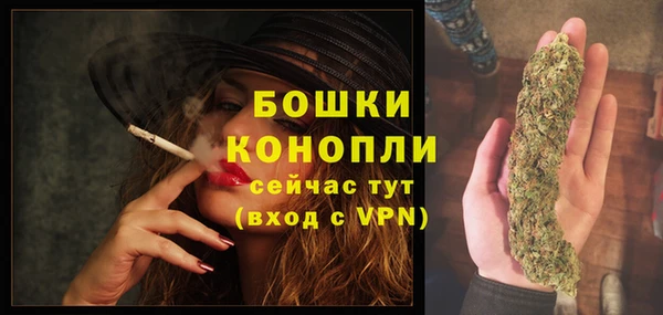 дурь Елизово