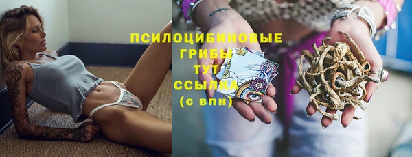 таблы Ельня