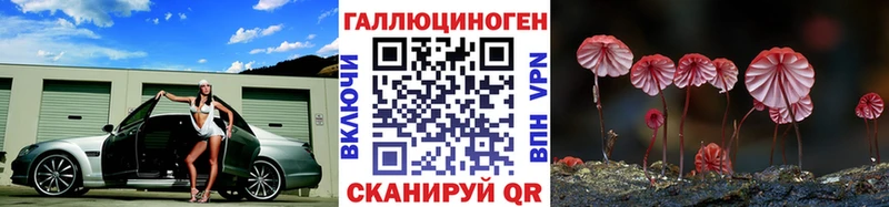 Галлюциногенные грибы Psilocybine cubensis  купить наркоту  МЕГА маркетплейс  Жиздра 
